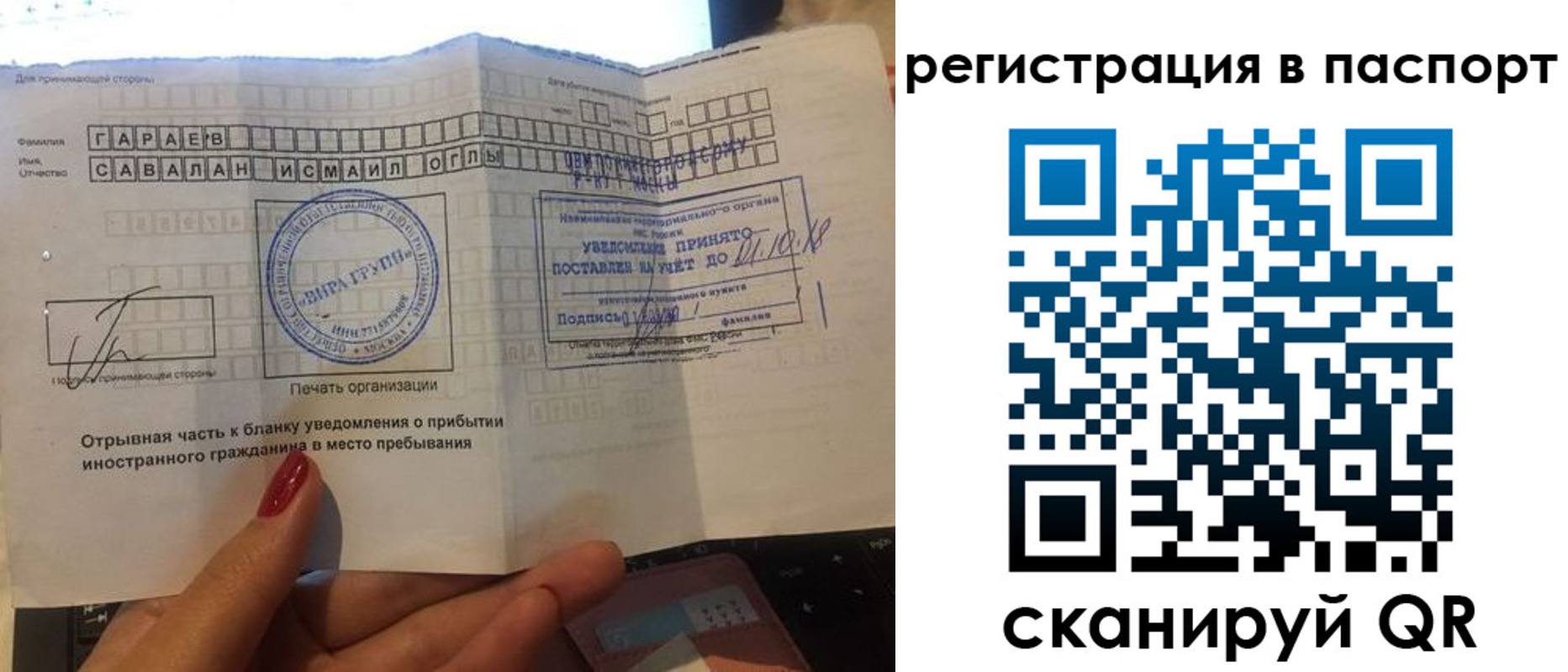 где прописаться в Ельне